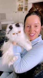 Cats are so dramatic 🤣 #funny #fail #cats #prank #art (via unknown)