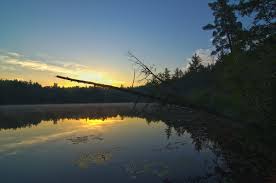 State of michigan, located in crawford county near grayling and interstate 75. Camping At Hartwick Pines State Park Find Reservations At Hartwick Pines State Park Campnab