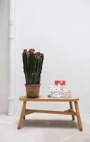 As the landscape cools, nature blossoms into a these same harmonies and contours, plus a dash of ruggedness and legibility, help to make cactus flower… designers: Pin On Carey Christmas Wrapping Graphics