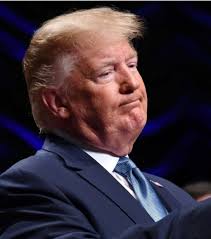 tracy peltier (@tracyallyne)