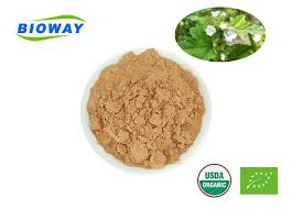 Image result for Malva verticillata