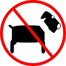In fact, an american study published in 2013 showed that spayed cats and dogs live up to 39% longer than intact ones, most likely due to a combination of these reduced risk. Traveling To Iran With Pets Don T Leave Your Best Friends 1stquest Blog