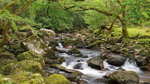 images?q=tbn:ANd9GcTLqp2pMO_J5-R_3IgJ5yTi397Zp1s4c-YTqiflAEjGbeGGM9dl