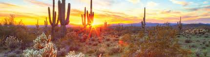 Arizona home care fax number. Phoenix Home Health Care From Endeavor In Home Care