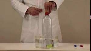 Université ferhat abbas sétif 1. Ce1d Sciences 2019 Video Experience Youtube