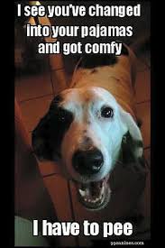 Dog And Puppies Funny Dog Fails Dog Fails Labrador Funny