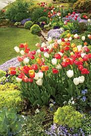 Here S How A Self Taught Gardener Grows Over 800 Tulips Every Spring Small Flower Gardens Tulips Garden Spring Garden Flowers