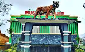 Sebagai tempat konservasi buatan, kebun binatang bukittinggi merupakan salah satu tempat tertua yang ada di indonesia, lebih spesifiknya di bukit cubadan bungkuak, bukittinggi. Kebun Binatang Bukittinggi Taman Margasatwa Tertua Peninggalan Belanda Di Indonesia
