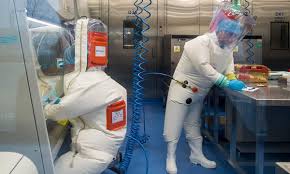 It is the largest city in hubei and the most populous city in cent. New Research From Wuhan Institute Of Virology Further Refutes Novel Coronavirus Laboratory Leakage Global Times