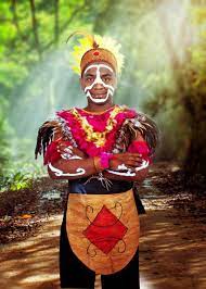Provinsi pakaian adat papua kartun. Baju Adat Papua Barat Greatnesia