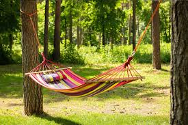 Hang A Hammock Outdoors
