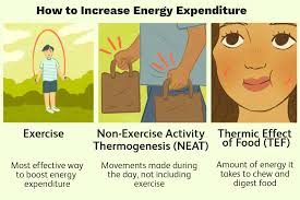 Image result for Energy Deficit Calculation
