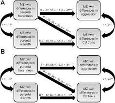 Maternal emotional support and harsh parenting were differentially associated with the development of ep across the three risk groups, relative . Parenting Is An Environmental Predictor Of Callous Unemotional Traits And Aggression A Monozygotic Twin Differences Study Journal Of The American Academy Of Child Adolescent Psychiatry