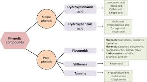If, after that period, your water is still cold, try the solutions for when your hot tub won't heat up, such as resetting the heater and checking your sensors and thermostat. Green Processing And Biotechnological Potential Of Grape Pomace Current Trends And Opportunities For Sustainable Biorefinery Sciencedirect