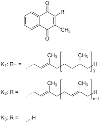 Image result for Vitamine