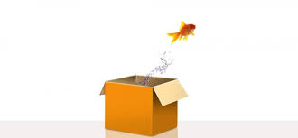 Think outside the box treemagineers.com