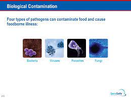 Cleanroom contaminants can be divided into four major categories, physical contaminants, chemical contaminants, viable/microbial contaminants and. You Can Prevent Contamination Objectives Biological Chemical And Physical Contaminants And How To Prevent Them How To Prevent The Deliberate Contamination Ppt Download
