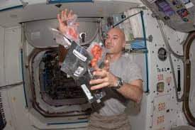 Pasalnya masih banyak para pencari kerja yang tidak mengetahui bagaimana cara mengirimkan lamaran lewat email dengan benar. Demi Bertahan Di Luar Angkasa Astronot Manfaatkan Kotoran Sendiri Halaman All Kompas Com