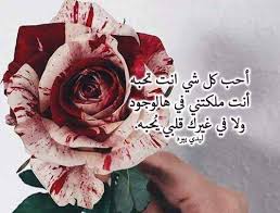 عبارات رومانسية قصيرة ليدي بيرد