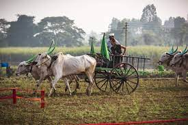 Un joc creativ, activ și colorat! Asia Express Sezon 2 8 Aprilie 2019 Vedetele De La Asia Express Se Intrec La Proba De AmuletÄƒ Cine A CaÈ™tigat Antena 1