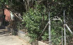 Posted on june 8, 2011 by sample letters leave a comment. What Happens When A Homeowner Won T Clean Up An Eyesore