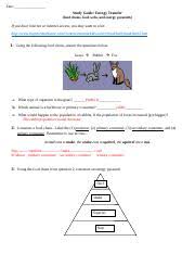 The student will illustrate how all organisms are part of and depend on two major global food webs that are positively or negatively influenced by human activity and technology. Use The Food Web Below To Answer The Questions A Which Is A Producer B Which Course Hero