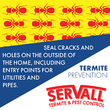 Get a free quote today! Servall Pest Control March 2017