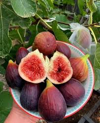 Height can range from 6ft to 13ft. Iran In Photos Iranian Fruit All Organic Picked Right Facebook