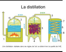 Voir plus d'idées sur le thème alambic huile essentielle, huile les meilleures offres pour 10l ménage alcool distillateur eau alambic les huiles essentielles destille sont sur ebay ✓ comparez les prix et les. Fabrication D Une Huile Essentielle Par Distillation Blog De Bivea