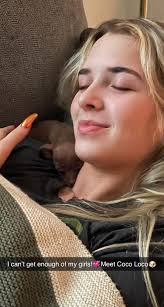 Dog clothing and accessories for sale