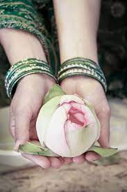 Pin By Mahinur On A Gift Flower Photos Flowers Lotus Flower