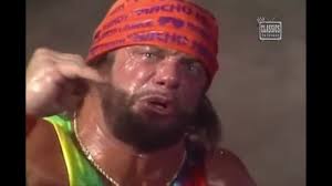 Macho Man Randy Savage FanPage