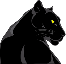 Free Image On Pixabay Panther Animals Feline Wild Panther Art Jaguar Animal Black Jaguar Animal