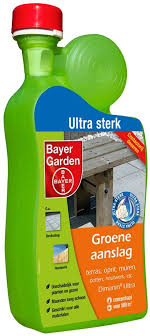 groene aanslag van tegels of straat verwijderen huis en tuin tuin tegels tuin op het noorden groen