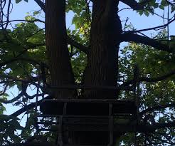 When hunting on private land, get permission from the landowner before building a permanent wooden stand. Building The Perfect Tree Stand 5 Steps Instructables