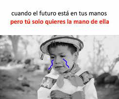 16 Memes De La Cancion Del Movimiento Naranja Que Prueban Que El Ano Electoral Ya Se Esta Saliendo De Control