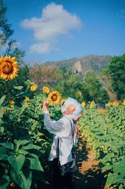 Hortensia juga populer dengan nama kembang bokor, sedangkan dalam bahasa melayu populer dengan bunga ini cuma dapat ditemukan di taman nasional di malaysia. Tak Perlu Terbang Jauh Jauh Ini 9 Tempat Menarik Di Malaysia Untuk Fefeeling Overseas