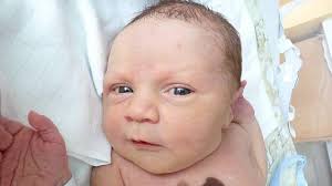 Narodilo se čtrnáct dětí