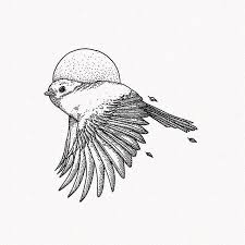 Bird In Flight Line Drawing Fly Bird Birds Sparrow Sparrows Germany Blackwork Blackworknow Sparrow Art Flying Bird Drawing Bird Line Drawing