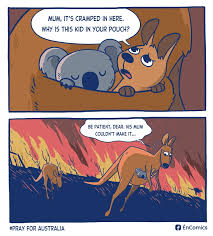 Pin On For The Love Of Animals