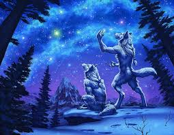 Blotch was born in the rainforest like all the other rainwings; Hd Wallpaper Furry Anthro Artic Wolf Cyan Stars Snow Blue Wallpaper Flare