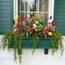 Thrillers are the tallest plants in the box. Winter Window Box Ideas