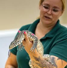 Schoolhouse Safari exotic animals at North Regional Library