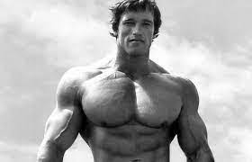 Check spelling or type a new query. Arnold Schwarzenegger Net Worth And Ten Facts About Him