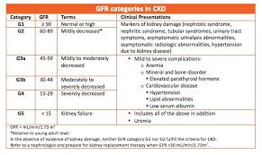 Gfr National Kidney Foundation