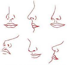 Selain itu, lekukan hidung harus dibentuk dengan garis gambarlah dua garis lengkung di setiap sisi lingkaran untuk membentuk lubang hidung. Menggambar Bagian Wajah Hidung Bibir Telinga Dan Rambut