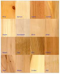 Wood Types And Appearance Types Of Wood Wood Woodworking
