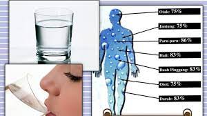 Check spelling or type a new query. Inilah 7 Alasan Mengapa Anda Harus Banyak Minum Air Putih Tribun Jabar