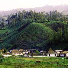 See more of ranu pane on facebook. Ranu Pane Jawa Timur Indonesia