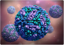 Zika And Guillain Barre Syndrome
